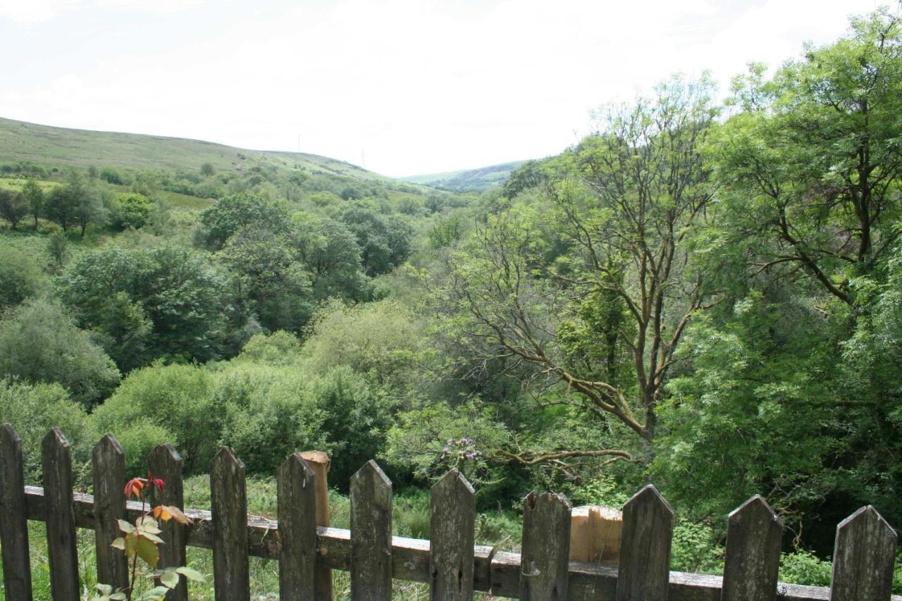 The Nook - Farm Park Stay With Hot Tub & Dome Swansea Exterior foto