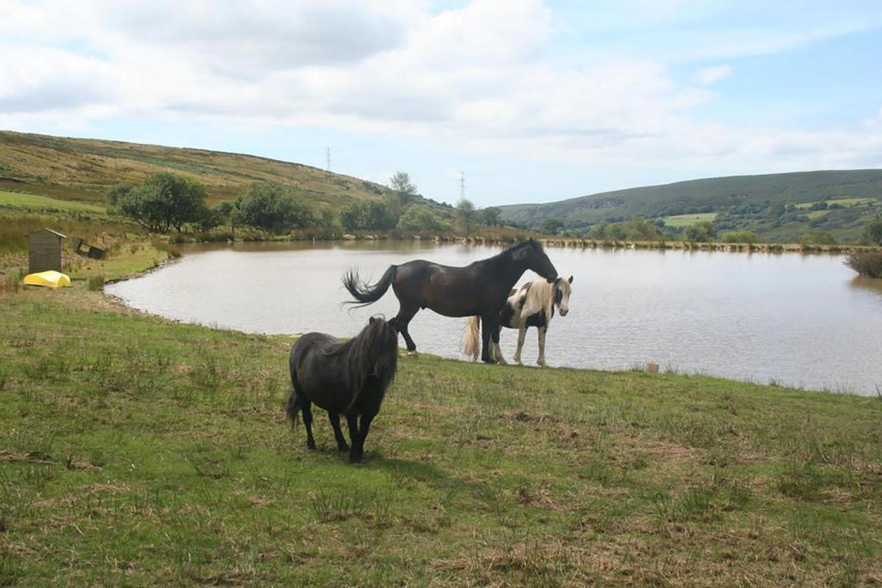 The Nook - Farm Park Stay With Hot Tub & Dome Swansea Exterior foto