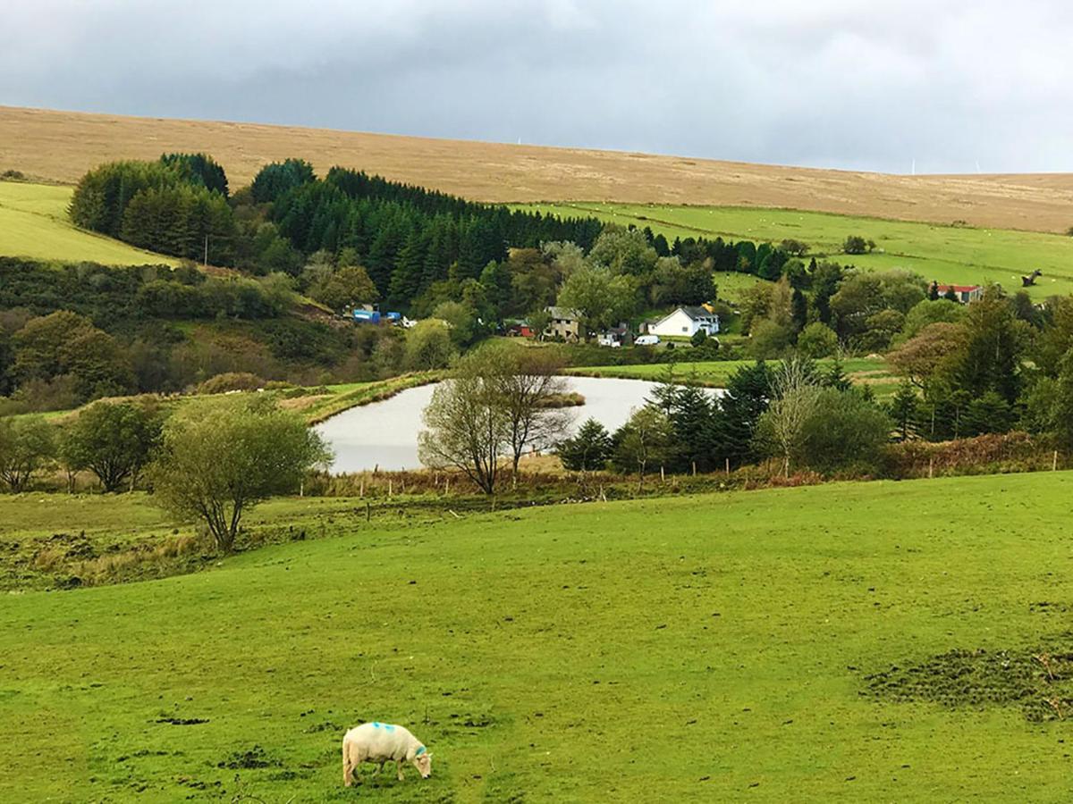 The Nook - Farm Park Stay With Hot Tub & Dome Swansea Exterior foto